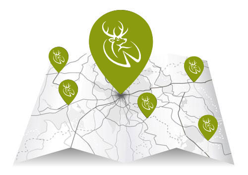 Wild Deer Store Locations Map